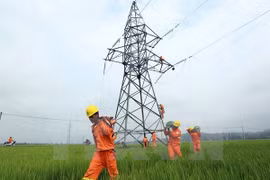 Producción eléctrica de Vietnam registra alto crecimiento