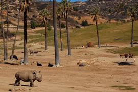 Inauguran nuevo parque safari en provincia central de Vietnam