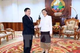 Líderes laosianos aprecian apoyo de auditoría de Vietnam