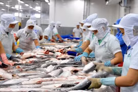 Empresas exportadoras vietnamitas se esfuerzan para entrar al mercado europeo