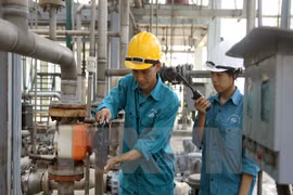 Zona económica Chu Lai, locomotora económica de Centro de Vietnam 