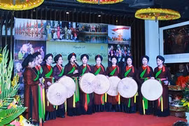 Efectúan gala artística de Vietnam en ciudad japonesa en saludo al Tet 