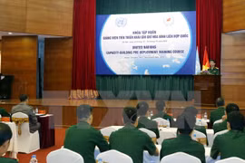 Vietnam y Países Bajos cooperan en actividades de mantenimiento de paz de la ONU