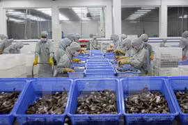 Vietnam gana fondo multimillonario por venta al exterior de productos acuáticos