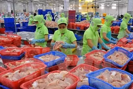 Estudian en Vietnam regulaciones de EE.UU. para importaciones de productos agrícolas 