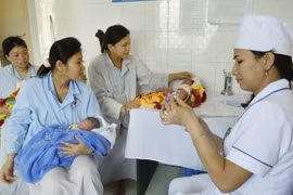  Vietnam resalta posición de OMS en impulso de calidad de atención de salud mundial 