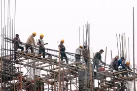 Comparten en Vietnam experiencias sobre implementación de seguridad laboral 