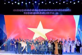 Amplias actividades en Vietnam por fundación de organización juvenil vietnamita