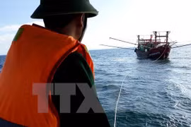Rescatan a marineros de barco naufragado en aguas de Vietnam
