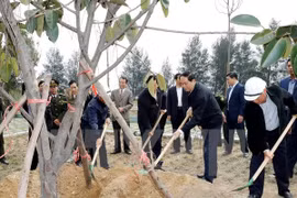 Presidente vietnamita urge a impulsar la plantación de árboles
