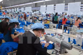  Aprovechar preferencias arancelarias de TLC: factor clave para avance del sector textil vietnamita