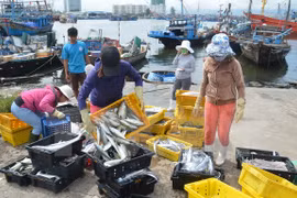 Exportación acuícola vietnamita asciende a casi siete mil millones de dólares en 10 meses