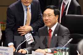 Vietnam: La ley es llave para mantener paz en un mundo complejo