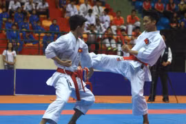 Karatecas vietnamitas ganan 22 medallas de oro en campeonato regional