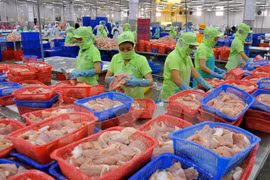 Brexit no genera grandes impactos al EVFTA