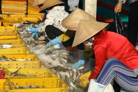 Gran delegación empresarial vietnamita explora mercado singapurense