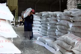 Registran fuerte aumento de exportaciones de Delta del río Mekong