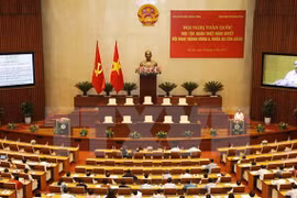 Premier vietnamita pide determinación y acción para materializar resoluciones partidistas