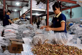 Farmacia y confecciones textiles, sectores más beneficiados de Vietnam con EVFTA