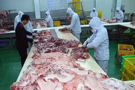 Ventas minoristas y servicios en Vietnam crecen 6,7 por ciento 