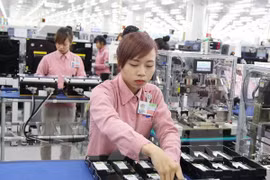 Valor de exportaciones de Vietnam a Argelia crecen 17 por ciento