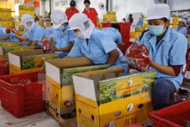 Economías de APEC debaten sobre desafíos de seguridad alimentaria 