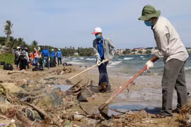Ha Tinh lanza campaña de limpieza de playas
