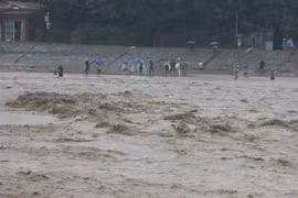 Oficina del presidente de Vietnam realiza actividades de apoyo a víctimas de inundaciones
