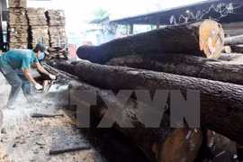 Vietnam reporta ingreso multimillonario por exportación de productos madereros