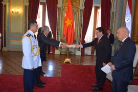 Vietnam y Paraguay robustecen relaciones de cooperación 