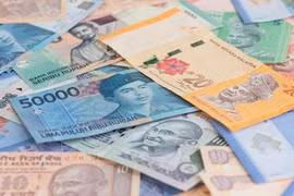Tailandia, Indonesia y Malasia utilizarán moneda oficial en comercio bilateral