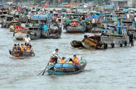 Can Tho impulsa la preservación del mercado flotante de Cai Rang
