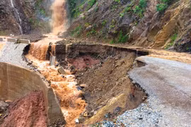 Desastres naturales provocan pérdidas humanas y materiales en Vietnam 
