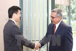 Vietnam y Cuba realizan cuarta consulta política