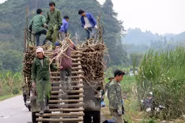 Vietnam ratifica compromiso con reducción sostenible de pobreza 