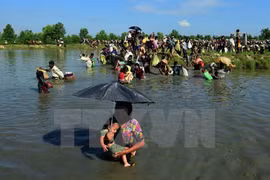 Myanmar otorga más de siete mil tarjetas de identidad en Rakhine
