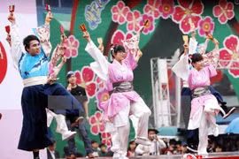 Jóvenes vietnamitas y japoneses realizan intercambios culturales 