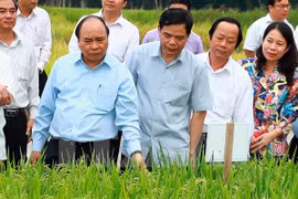 Abogan por establecer zona agrícola de alta tecnología en provincia survietnamita