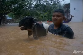 Cantidad de muertos por ciclón en Indonesia aumenta a 41