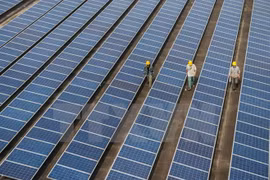 Vietnam dispone de grandes potencialidades para desarrollo de energías renovables