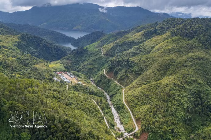 Despiertan potencial económico de zonas forestales y montañosas en Da Nang