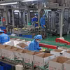La empresa Long Hai, ubicada en el Clúster Industrial 1, barrio de Thach Khoi, ciudad de Hai Phong, produce cada año cientos de toneladas de productos destinados al consumo nacional y a la exportación. Foto: VNA