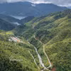 Despiertan potencial económico de zonas forestales y montañosas en Da Nang