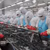 El sector de los productos del mar es una de las industrias que se beneficiará considerablemente una vez que el EVFTA entre en vigor. Fuente: VNA