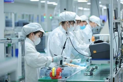 Vietnam ha estado implementando una estrategia para capacitar recursos humanos de alta calidad para la industria de semiconductores. (Foto: VNA)