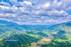 Con una altitud de 1.700 metros sobre el nivel del mar, el pico Pu Luong se está convirtiendo gradualmente en un destino ideal para el turismo de senderismo. (Foto: VNA)