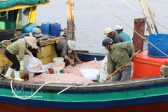 Un barco pesquero faenando cerca de la costa en la comuna de Giao Ninh, provincia de Ninh Binh. Foto: VNA