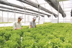 Las inversiones extranjeras directas (IED) son muy importantes. Foto: thoibaotaichinhvietnam.vn 