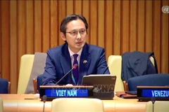 El embajador Do Hung Viet (Fuente: VNA)