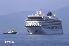 Entre agosto de 2025 y abril de 2026, Saigontourist espera recibir 151 cruceros internacionales con más de 6.000 pasajeros provenientes de Europa, Estados Unidos, Australia y otros mercados (Fuente: VNA)